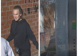 Вандализм средь бела дня в Таганроге переступает все грани