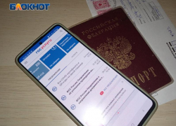 Дети Таганрога и не только смогут самостоятельно регистрироваться на портале госуслуг