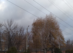 Восточный ветер подложил таганрожцам «свинью»