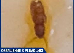 «Заказала суп, а нашла таракана» - жительница Таганрога сделала заказ в кафе «Пить кофе»