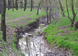 Экология малых рек снова пугает таганрожцев 