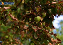 Несмотря на магнитную бурю в Таганроге на выходных будет ясно