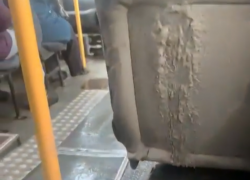 «Грязевые ванны» можно принимать в маршрутках Таганрога