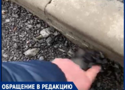 Её ждали в Таганроге много лет и дождались, однако, вместо радости только разочарование и возмущение