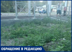 Остановка – Амброзия