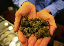  Таганрожец задержан полицией за хранение марихуаны