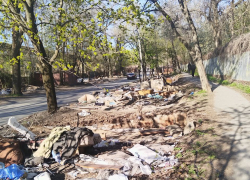 Решили промолчать: при сносе гаражей в Таганроге забыли о благоустройстве, а на обращения горожан ответов нет