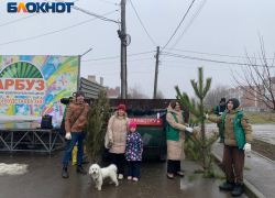 Таганрожцы подарили новогодним зелёным красавицам вторую жизнь