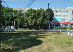 Во всех районах Таганрога проводится покос травы