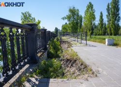 В понедельник подпишут контракт с «Газпромом» по благоустройству Пушкинской набережной