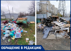 Когда в Таганроге «мусорная» тема сойдёт на нет
