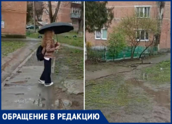 Жители "Дубков" Таганрога переживают за свою жизнь из-за аварийных деревьев 