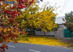 Таганрог: прогноз погоды с 13 по 17 ноября 