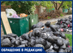 "Свиноты какие-то": таганроженка в шоке от стихийной свалки во дворе на Западном