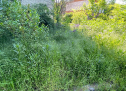 УК "Левада" понесёт наказание за нарушение правил благоустройства 