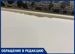 50 тысяч коту под хвост: двери от «Гранда» оказались облезлыми и непрокрашенными