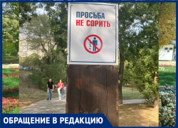 Рощу «Дубки» в Таганроге спасёт «правильная организация благоустройства»