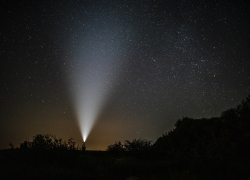 Сегодня в Таганроге можно будет увидеть метеорный поток Персеиды