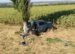 Утром под Таганрогом Lada Priora врезалась в дерево