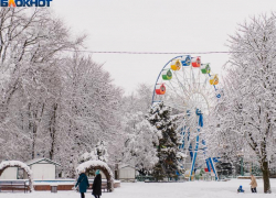  Кругленькую сумму заработает в новогодние праздники директор парка им. Горького