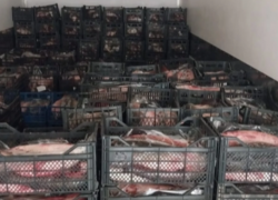В Таганроге пресечена деятельность нелегального рыбного цеха