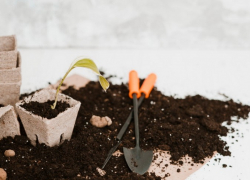 Лунный посевной календарь садовода и огородника с 16 по 28 февраля 2026