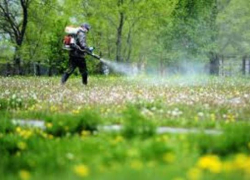 В Таганроге продолжается дезинфекция территорий