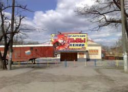 Таганрожцы собирают подписи для восстановления цирка