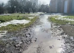 "Куда ты, тропинка, меня завела": таганроженка показала болото вместо тротуаров на Северном