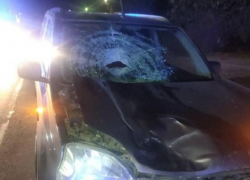 35-летнего мужчину насмерть сбили в Покровском