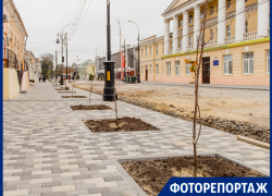 Палки вместо деревьев и новые фонари под старыми «соплями» - центральная улица Таганрога