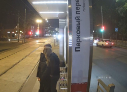 Подросток, разбивший в Таганроге остановки «Парковый переулок» и «НИИ связи», найден