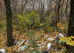 Нет денег на уборку: превратится ли посадка в Таганроге в свалку?