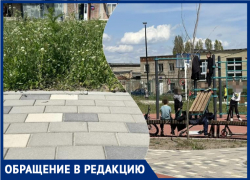 Радость с оговоркой: таганрожцы довольны сквером на Маршала Жукова, но есть несколько "но"