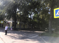 В центре Таганрога рухнуло высокое дерево, оборваны линии электропередач