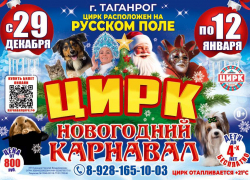 Новый год с цирком: приключения, которые заставят замирать сердца