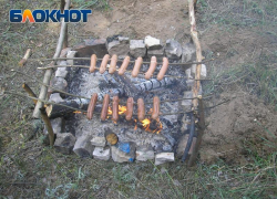 Таганрожцы не смогут пожарить шашлык на природе: в области введен особый режим