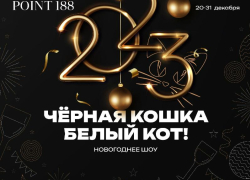 Встречаем год кота в Point188*