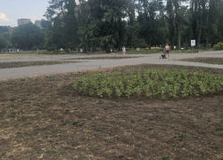 "Испохабили!": таганрожцы накинулись на Камбулову из-за Пушкинской набережной