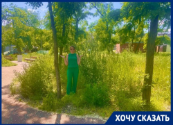  Глава Таганрога публикует фото Пушкинской набережной из параллельной реальности 