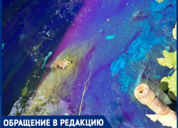 «Точечное загрязнение» или системная безнаказанность? Река Малая черепаха в Таганроге снова превращается в токсичный поток