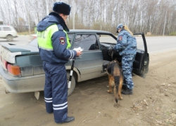 В Ростовской области полицейские раскрыли ряд преступлений в сфере наркотических средств