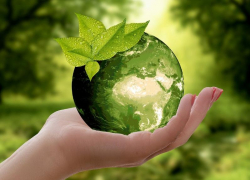 Знаешь всё об экологии? Пройдите экологический диктат в Всемирный день рециклинга
