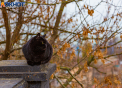 1 ноября встречаем Иванов день и провожаем осень: советы и предостережения для таганрожцев