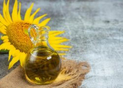 Под Таганрогом построят завод по производству подсолнечного масла 