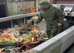 Под Таганрогом браконьеры пытались скрыться от пограничного наряда с уловом почти на 6 млн рублей 