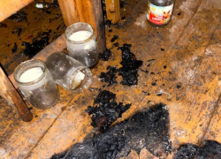 Разжёг костёр в доме? Странный пожар под Таганрогом