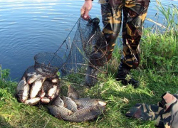 В Таганрогском заливе задержали браконьера