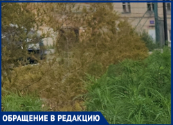 Качели детей могут покалечить: таганрогский сквер на ПМК грозит превратиться в опасный Кораблик-2