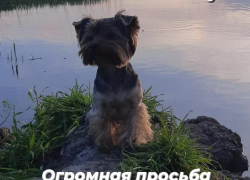Пропал друг семьи